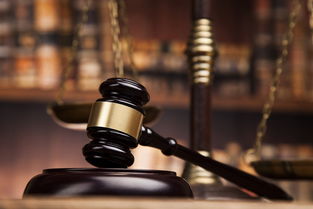“吴谢宇弑母案”一审公开宣判：吴谢宇数罪并罚，决定执行死刑