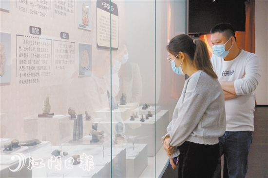 化石、矿物、世界各国硬币……500余件（套）展品正在江门开平博物馆免费展出