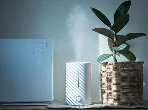 加湿器使用不当，4名返校大学生同时发热
