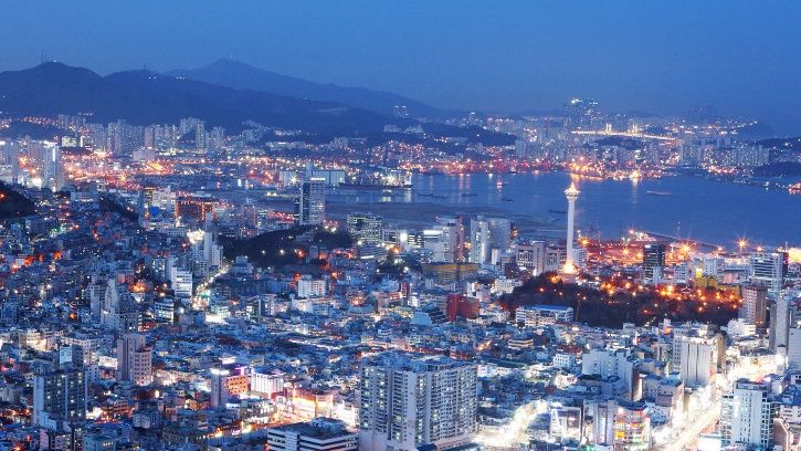 深圳：逐浪湾区当先锋
