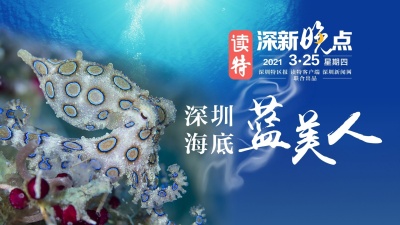 读特深新晚点 | 深圳海底“蓝美人”（2021年3月25日）