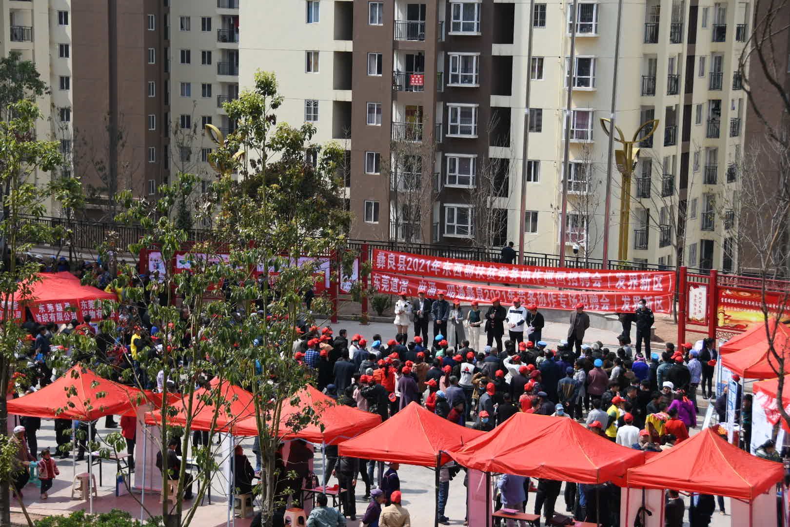 东莞道滘组织企业赴云南彝良招工，月薪最高1万元