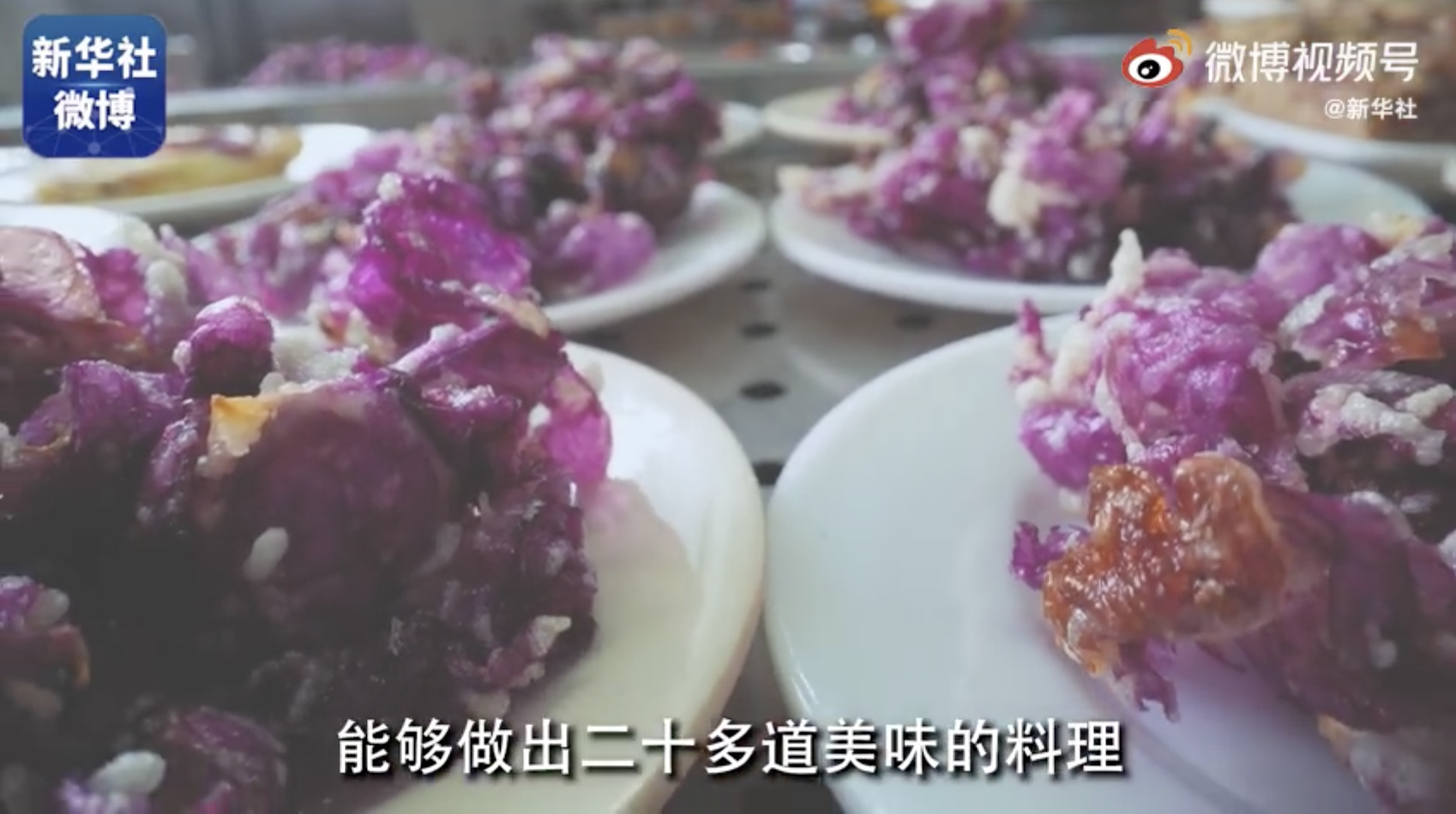 吃玫瑰花？！云南大学住着“神仙”吧