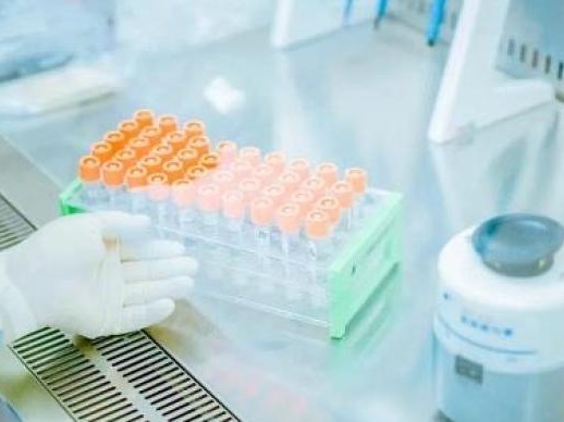 云南6日新增确诊病例2例 均为瑞丽市核酸检测中发现