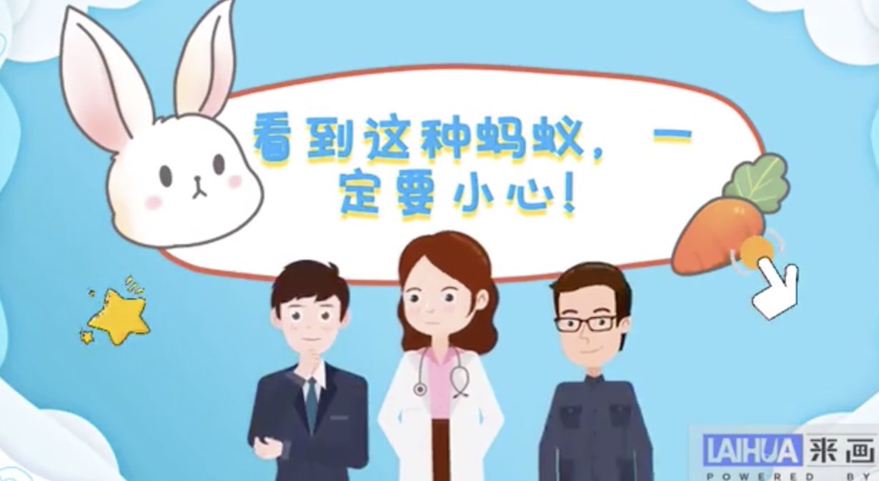 被红火蚁叮咬会有什么反应？ 
