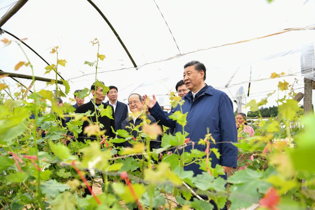 第一观察｜从四组关键词读懂总书记广西行