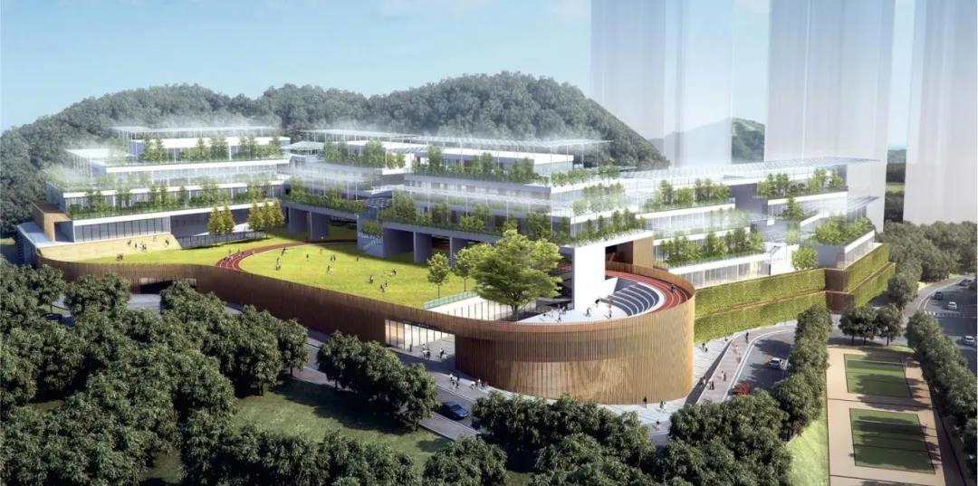 五年新增3.8万座基础教育学位！罗湖教育超多利好来袭