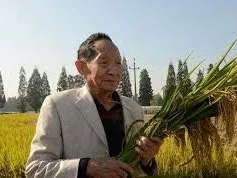  “杂交水稻之父”的深圳缘：80岁生日在龙岗度过 