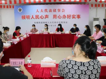 蝶变东晓 | 倾听人民心声 用心办好实事 东晓街道独树人大代表社区联络站代表议事会共议热点问题