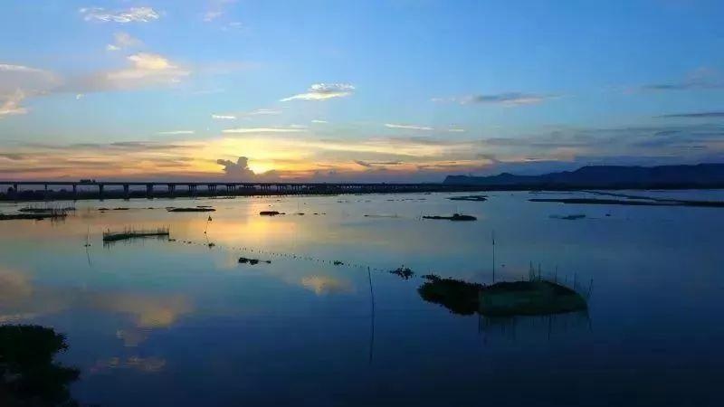 惠州淡水河、潼湖水将开展生态修复
