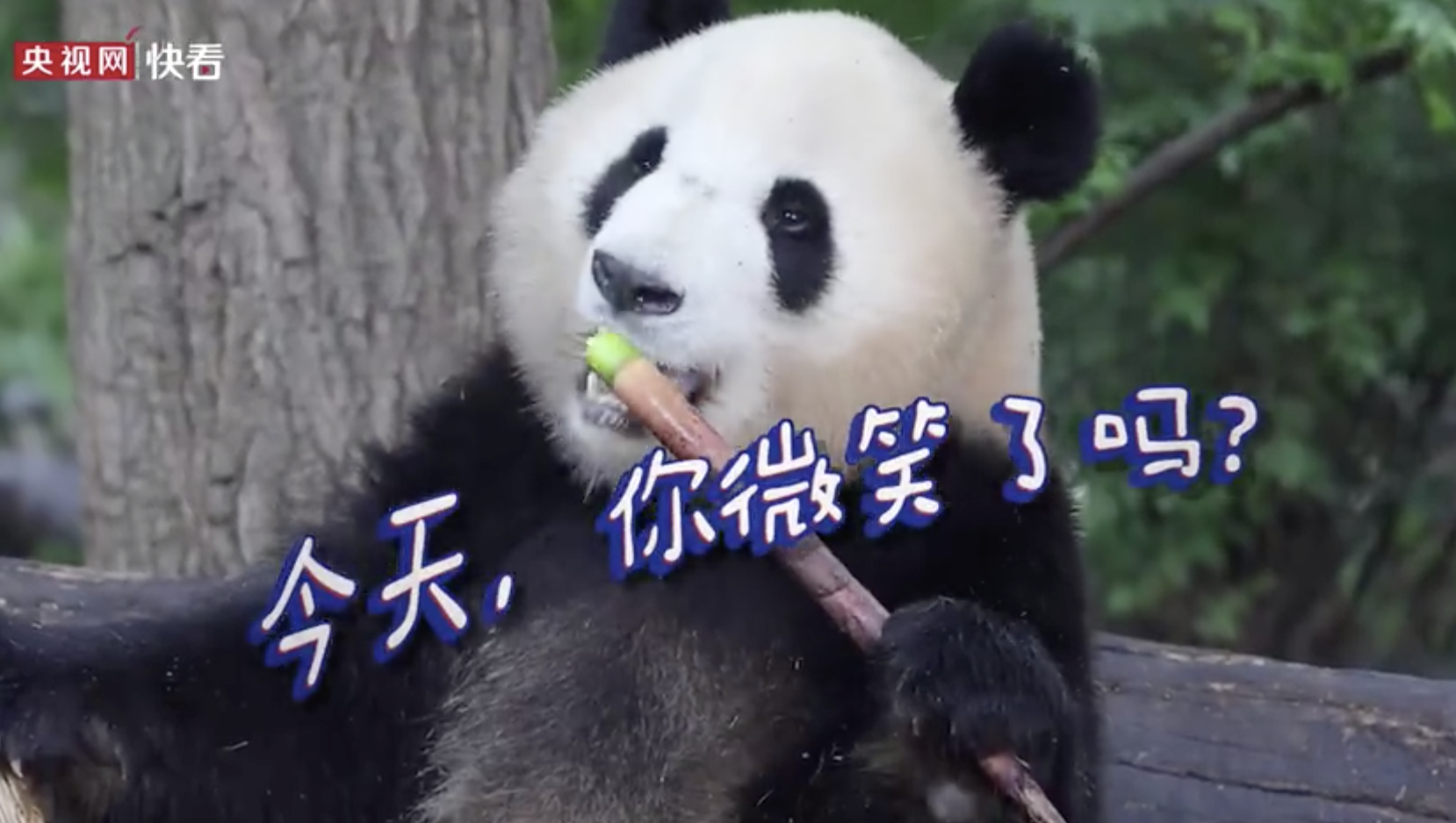 世界微笑日：这些微笑很中国