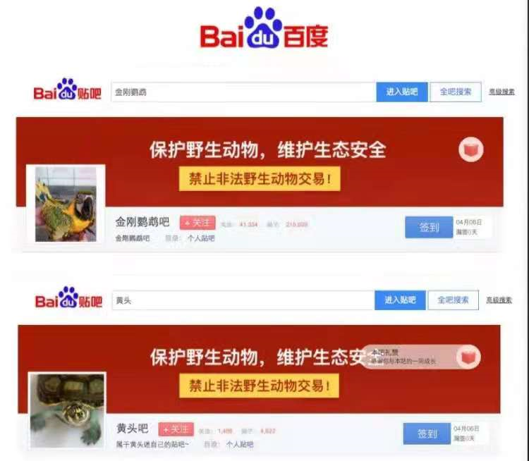 龙岗法院联手百度公司打击“异宠”非法交易
