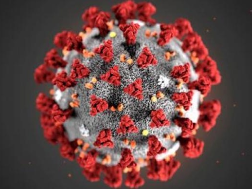 英国研究人员开发新冠病毒传播早期预警系统