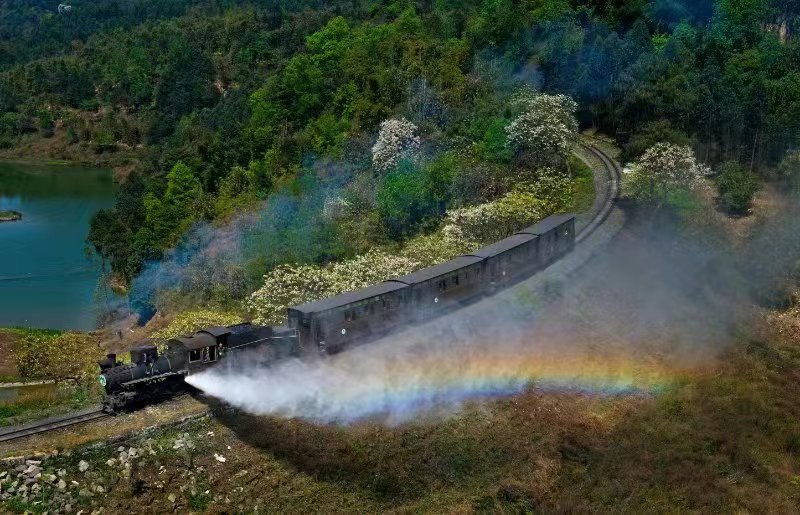 打开华南市场门户：乐山旅游在深圳展示“新名片”
