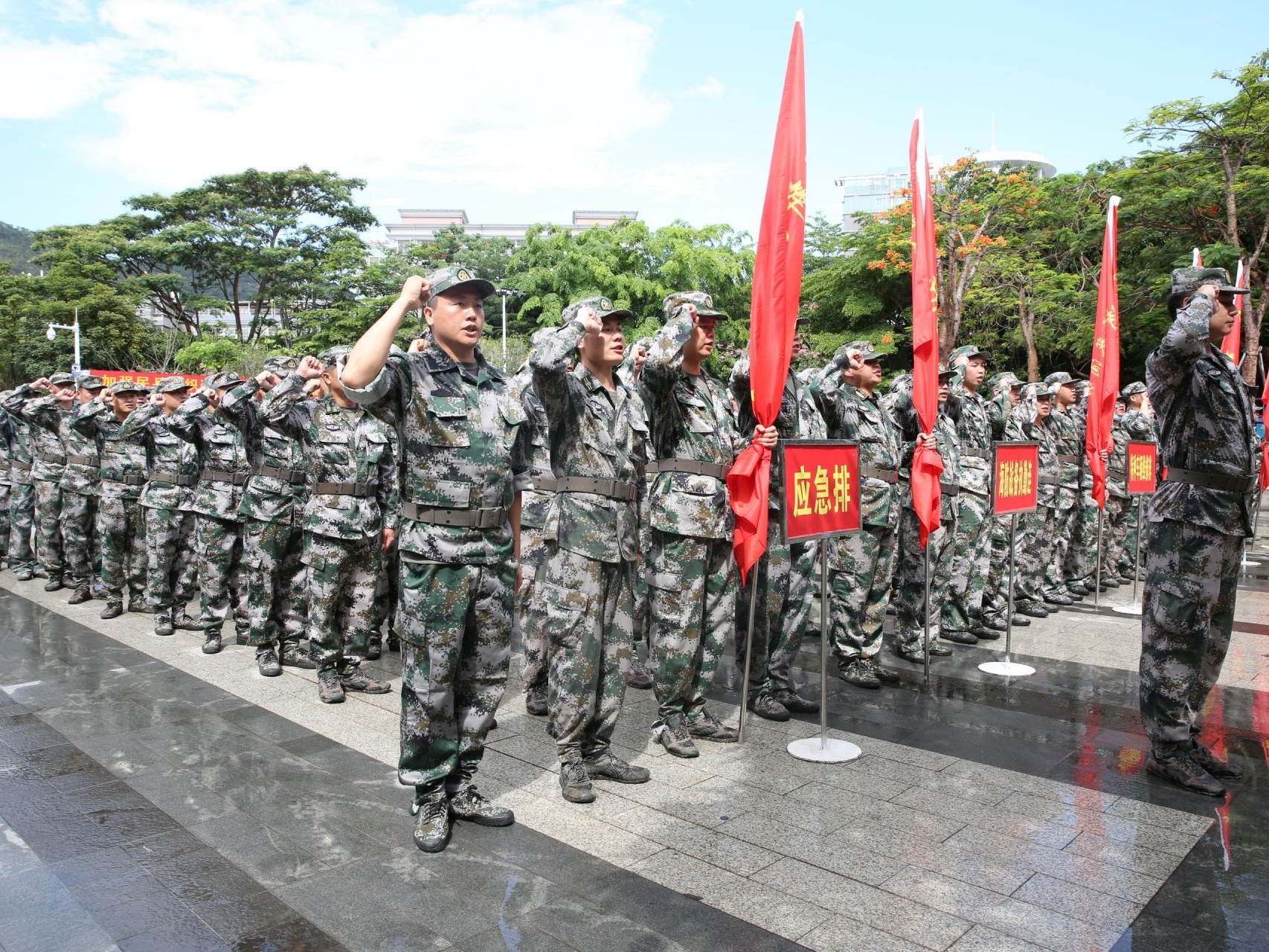 点出风采，铸牢使命！葵涌办事处开展2021年度民兵集结整组点验