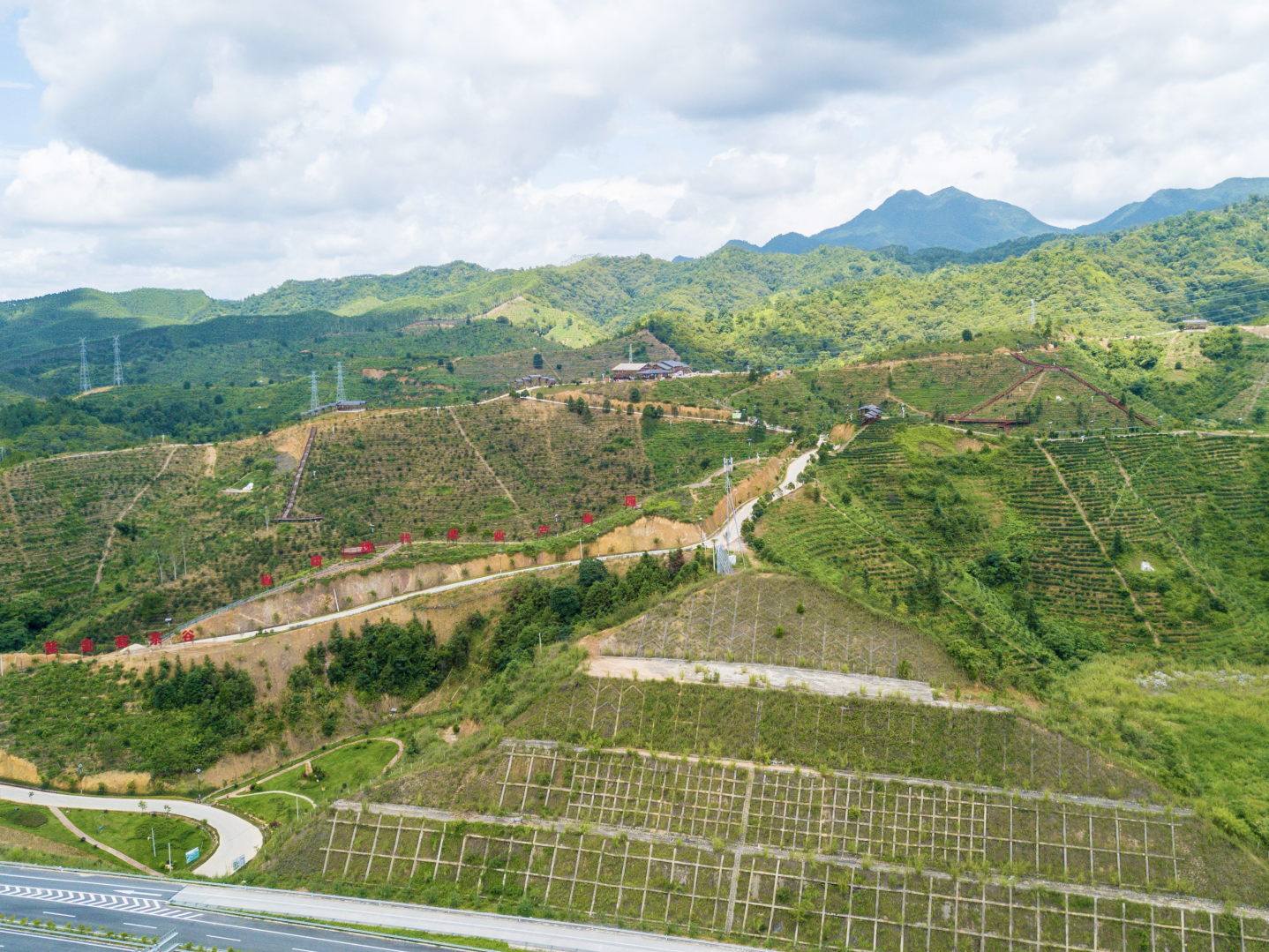 深河共建 圳在帮扶｜龙华倾力帮扶 紫金荣誉等身