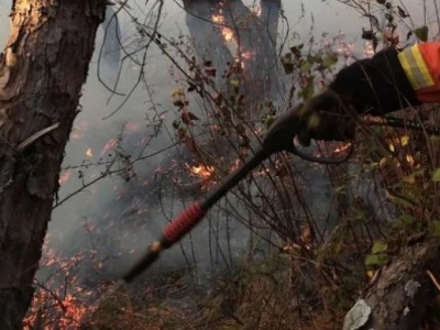 云南大理发生森林火情，930余名专业扑火人员正在全力灭火
