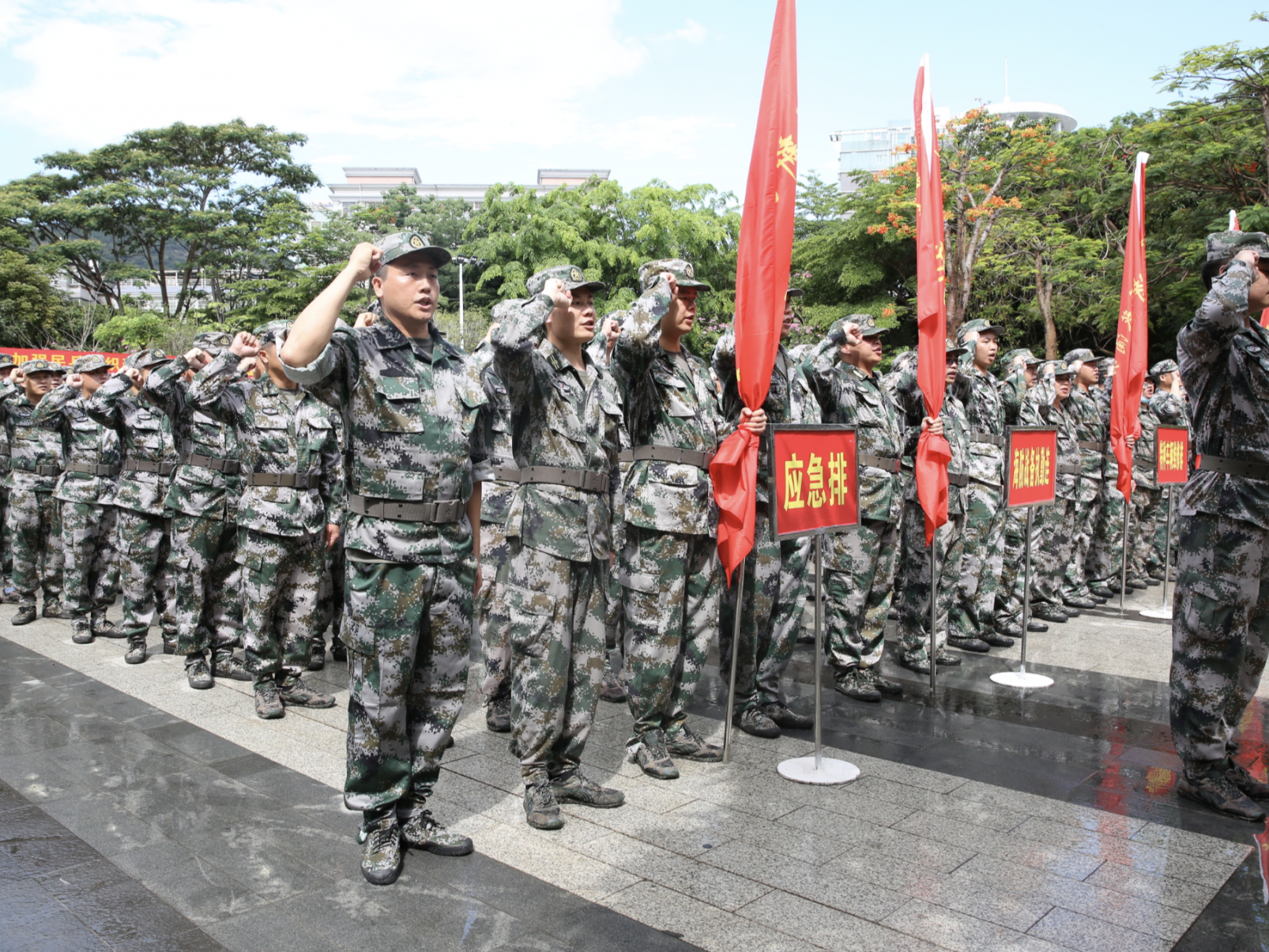 大鹏新区组织民兵集结整组点验