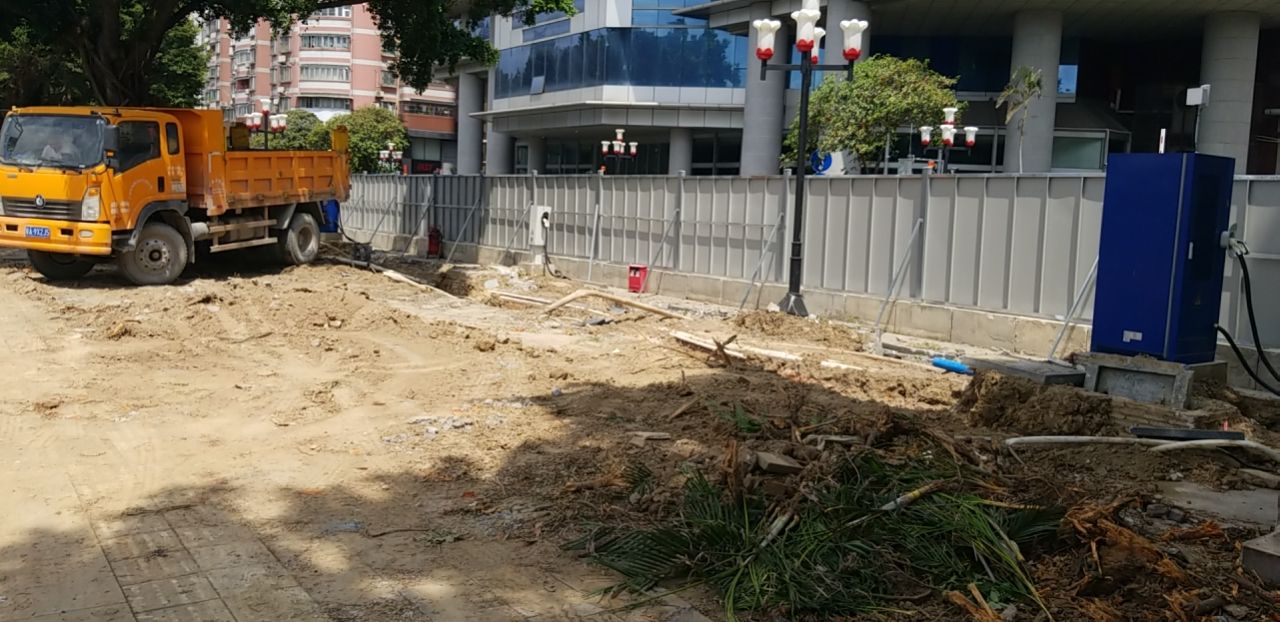 广州回应“珠江边大榕树疑遭砍伐”：33棵仅抽疏迁移5棵