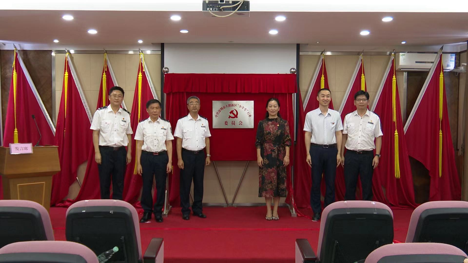 大鹏新区成立全市首个“小个专”行业党委