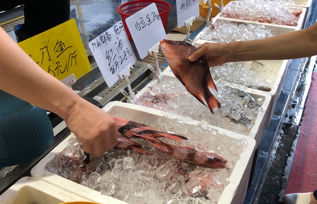 极速真探 | 休渔期市场上海产品不少，仅野生海鱼价格有所上涨