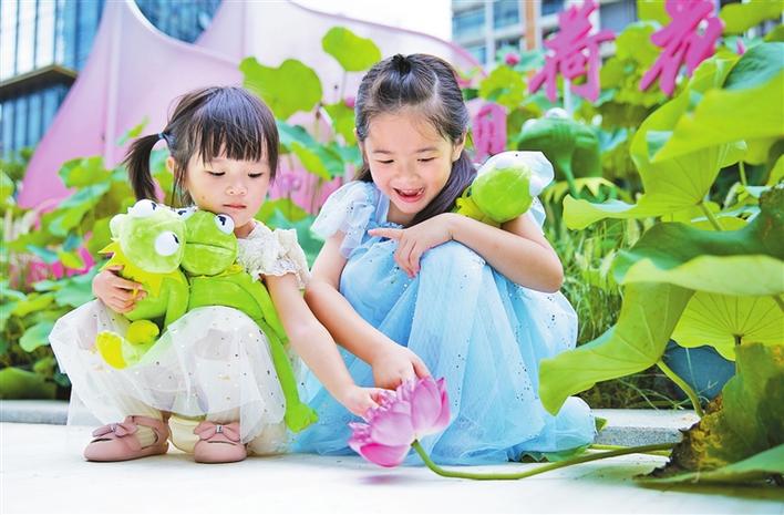 “中国红”系列荷花绽放“花漾水贝”