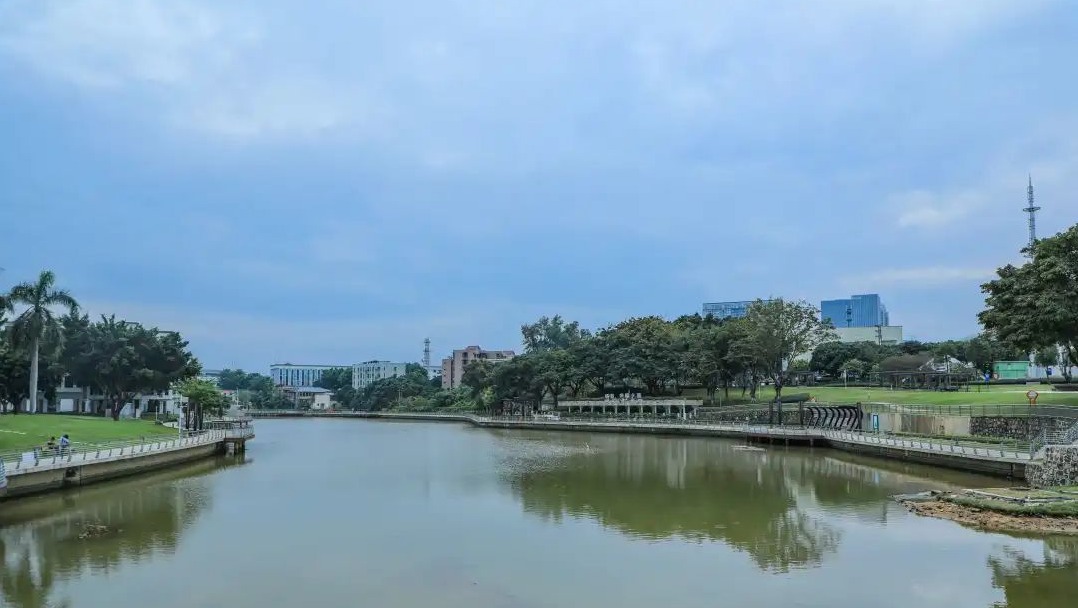 翠湖公园：颜值与内涵并存