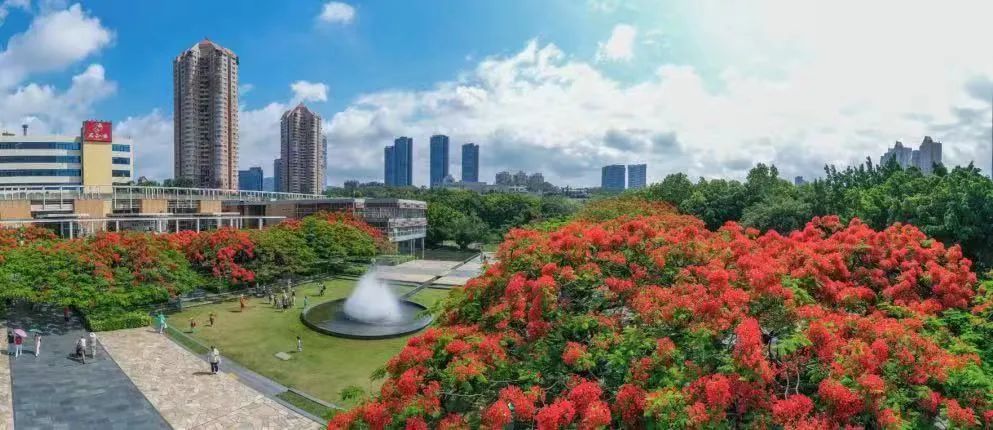 端午假期党员群众积极参与志愿服务，防疫一线是“最好的红色教育基地”