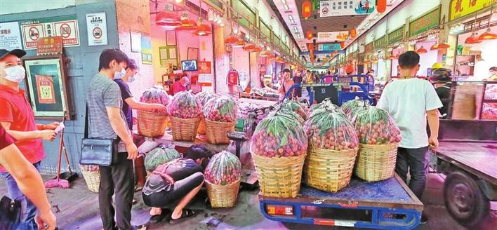 深圳荔枝正飘香 20天赏味期勿错过