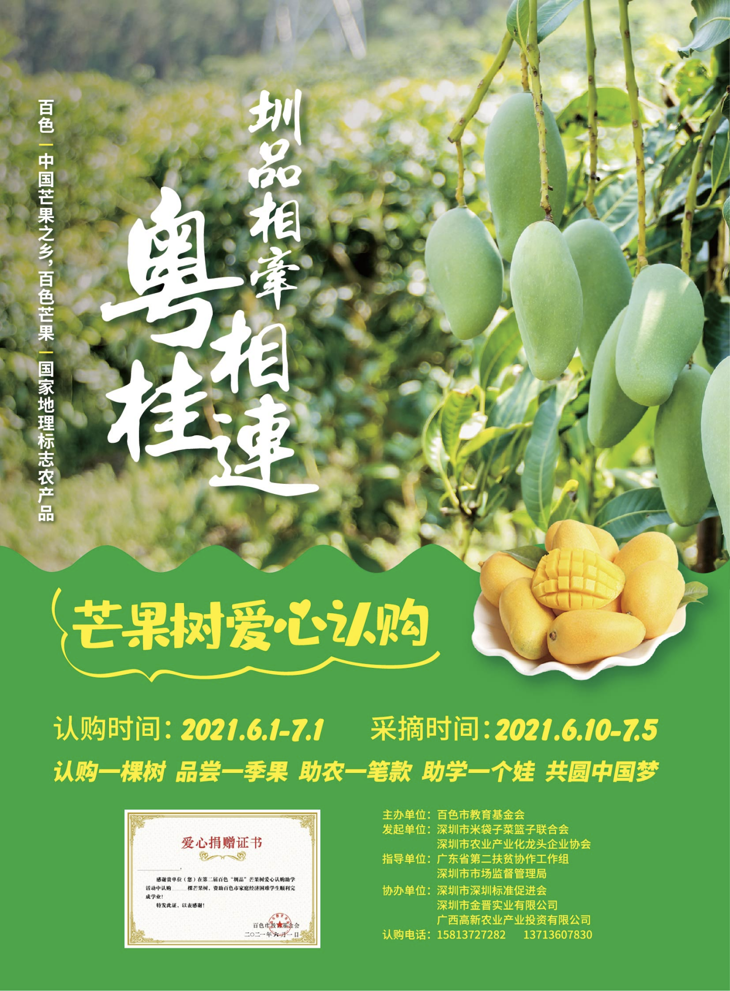 认购一棵树 助学一个娃！百色“圳品”芒果树爱心认购助学活动启动