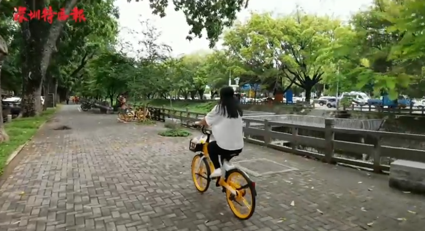 世界环境日，让“绿色”成为靓丽名片