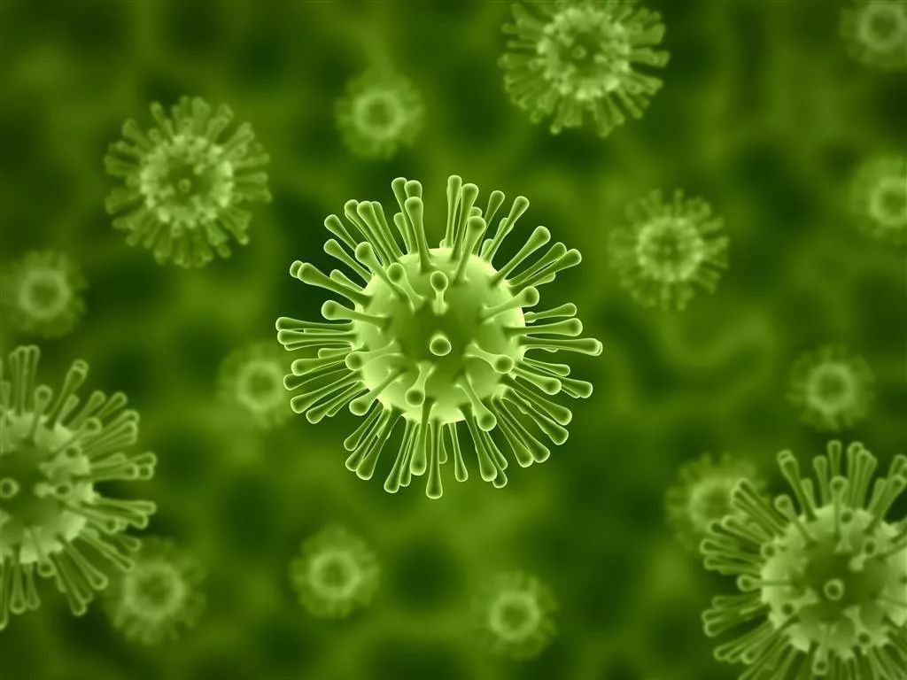 美国最新研究：2019年12月新冠病毒已在美国本土传播