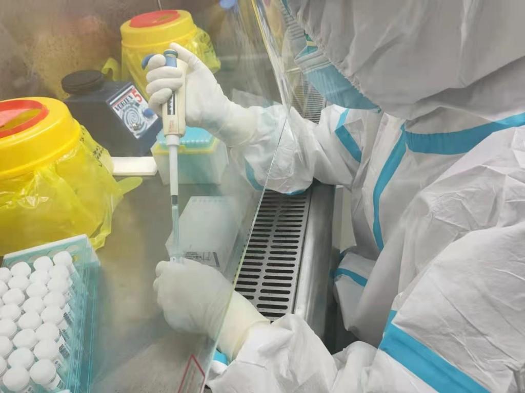 升级三靶标高灵敏度核酸检测技术 深圳市进口冻品集中监管仓实现精准人物同防