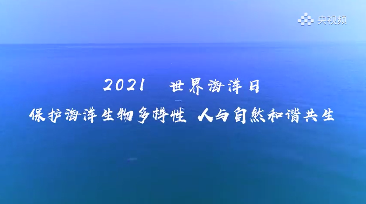海洋生物是蔚蓝大海的星辰