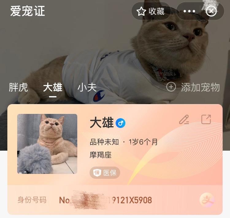 今天起，上支付宝可为宠物建电子“身份证”