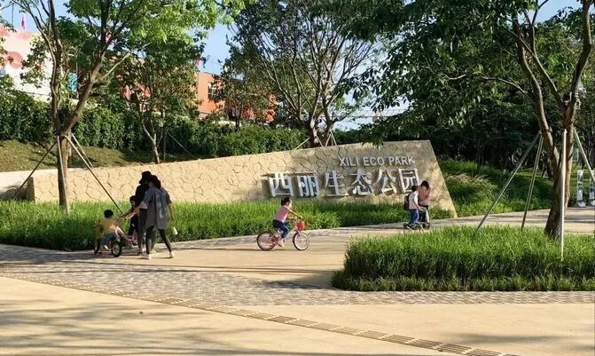 这些都免费！解锁南山暑期新玩法