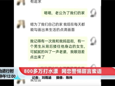 以案普法丨女子网恋被骗800多万，卖掉北京一套房，婚恋网站是否应担责？