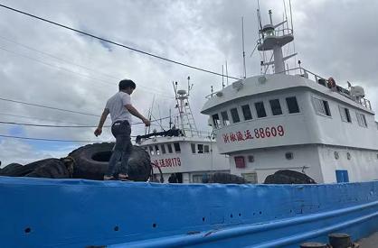 浙江台州4793艘渔船进入安全水域避风