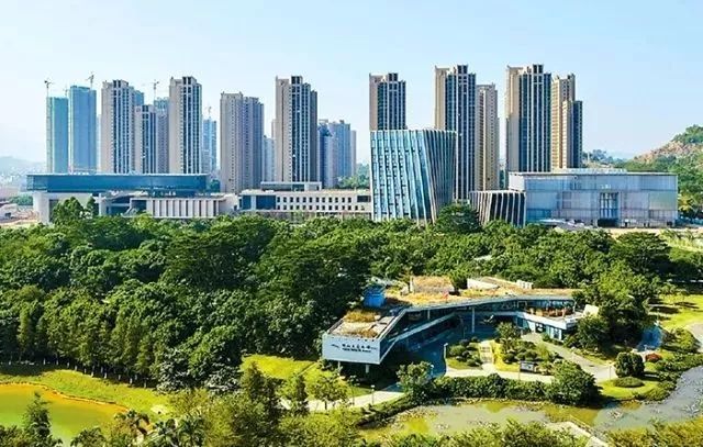 坪山区召开“两优一先”表彰大会