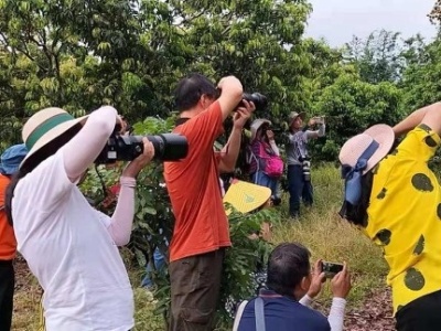 振兴乡村公益摄影活动在斗门区小赤坎村举行