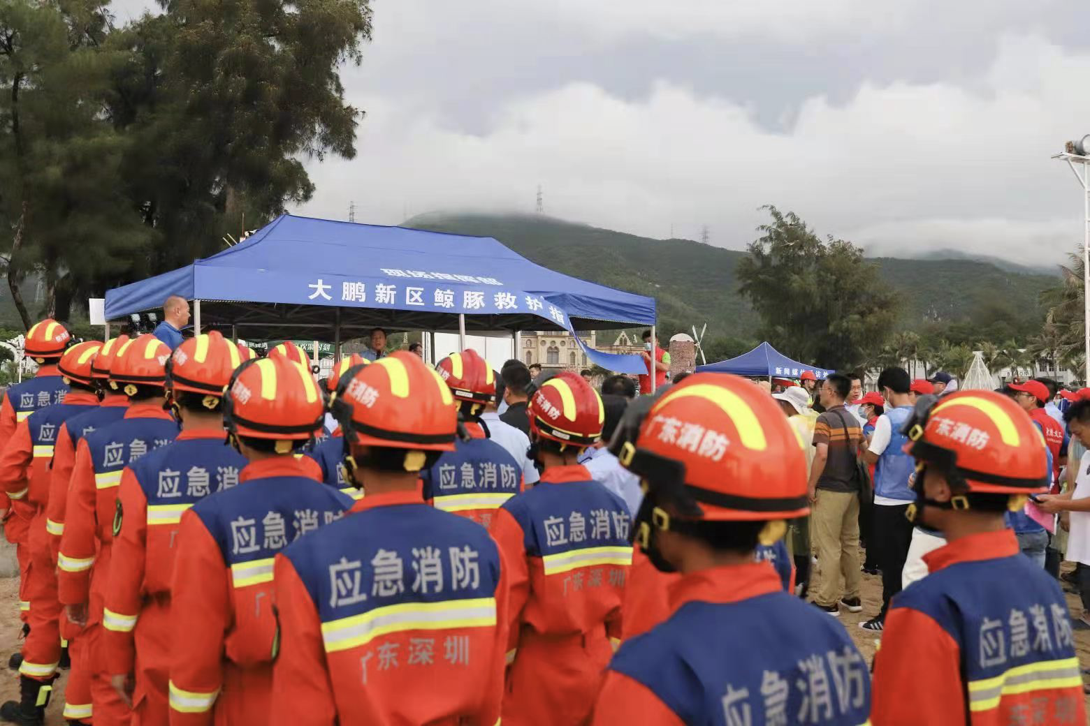 大鹏新区开展鲸豚搁浅救助演练，消防救援部门暖心营救