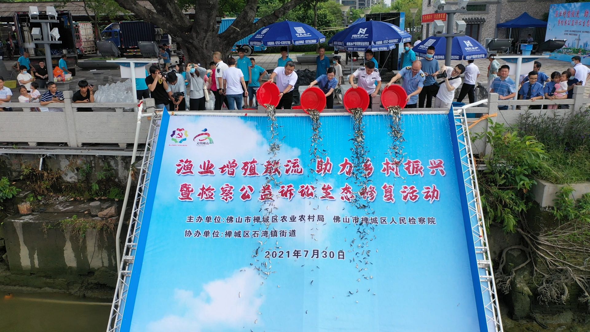 120万尾“鱼宝宝”回家啦！禅城区举行渔业增殖放流活动，鱼苗购买款竟然来自这里