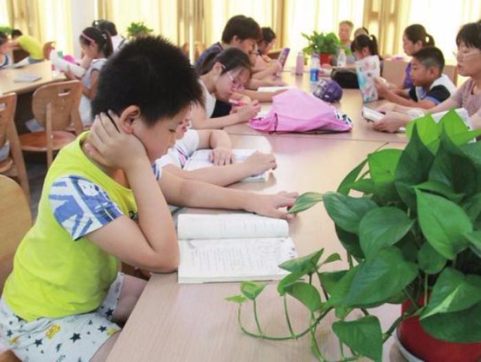 北京暑期托管19日开始：不得强制参加或动员不参加
