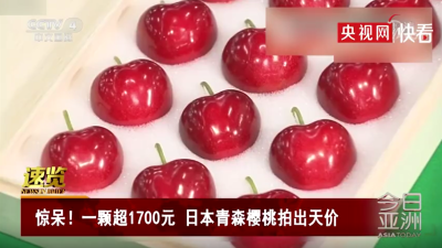 日本樱桃拍出一颗超1700元天价