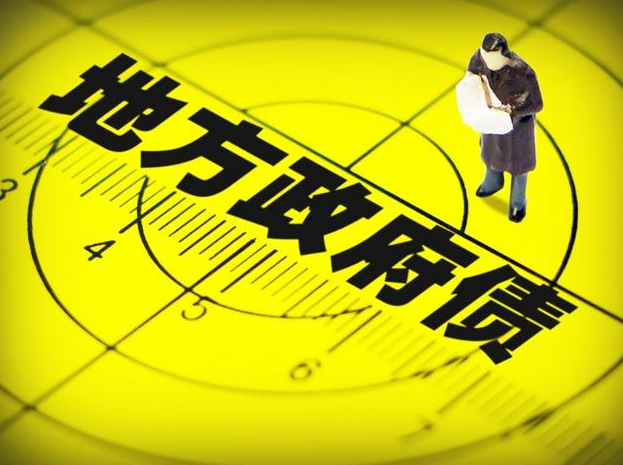 上半年中国发行地方政府债券33411亿元