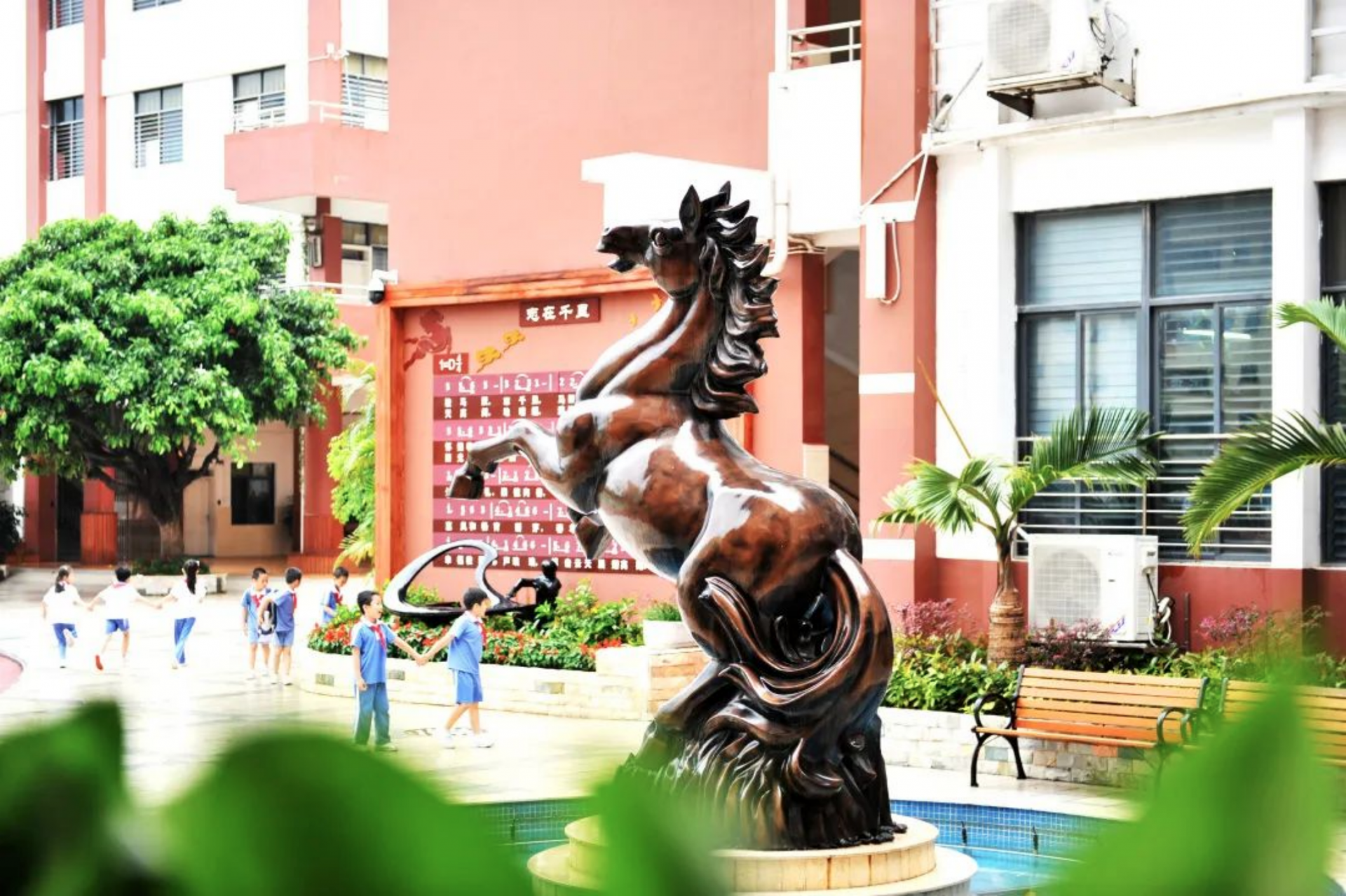 好消息！光明区确定两所小学生暑期托管服务试点学校