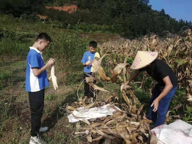 结对同吃同住同劳动，龙凤学子携手共成长  龙华区乡村振兴旅游线路体验暨“三同”结对帮扶活动凤山举行