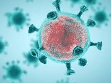 48国致函世卫组织总干事反对新冠病毒溯源问题政治化