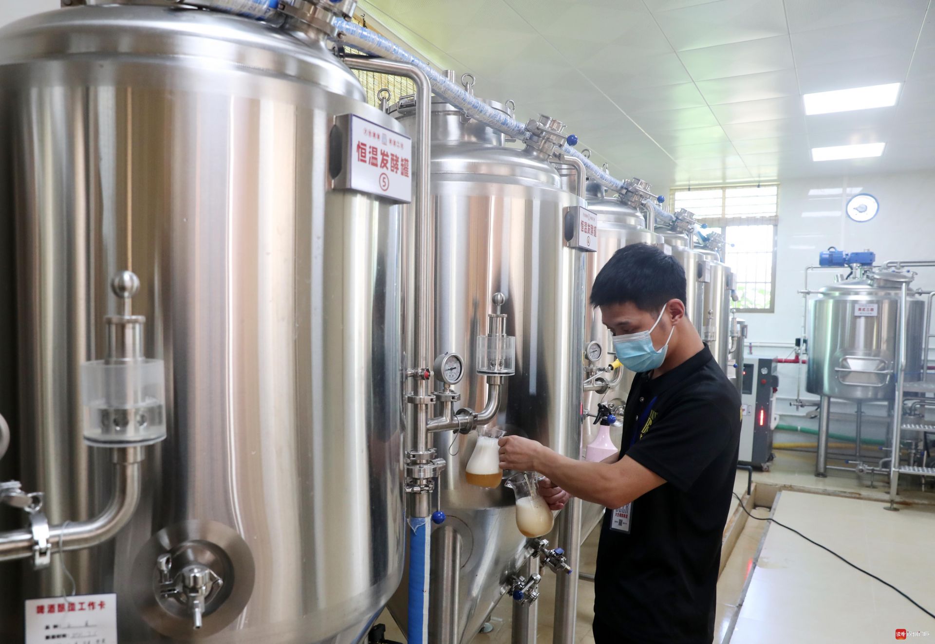 走进广东革命老区丨在河源，用一杯啤酒打造乡村振兴“新引擎”