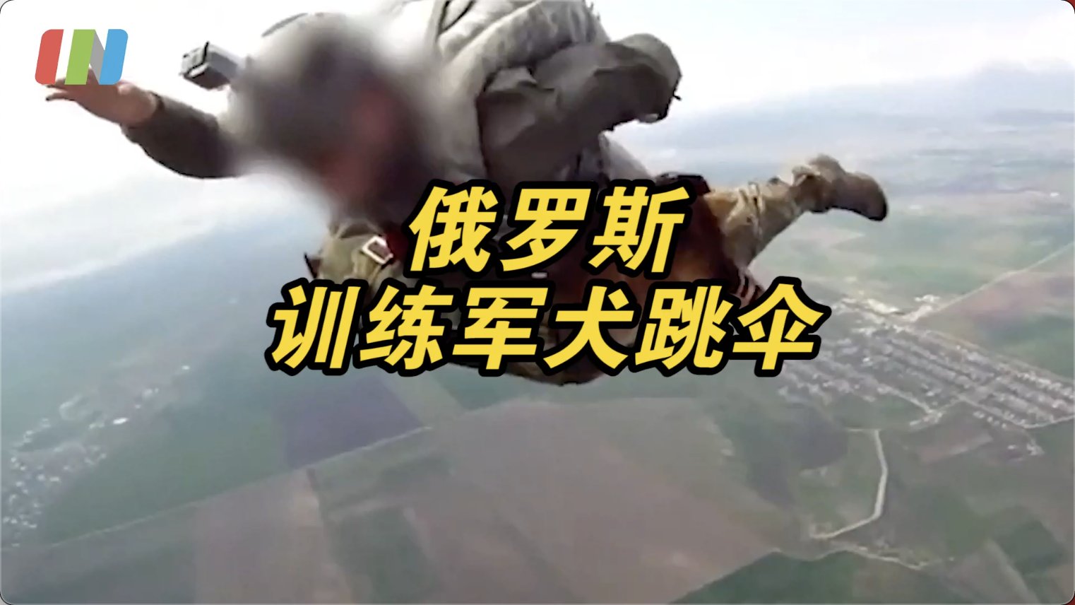 俄罗斯训练军犬跳伞